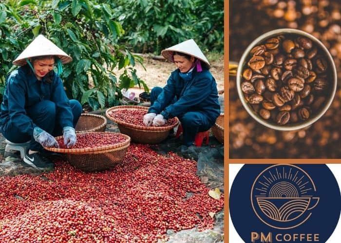 vietnamese-specialty-coffee-17