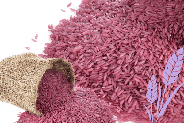 purple-rice-5