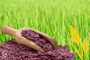 Purple Rice In China Purple Rice: Color Rice And All The Things You Need To Know About ...