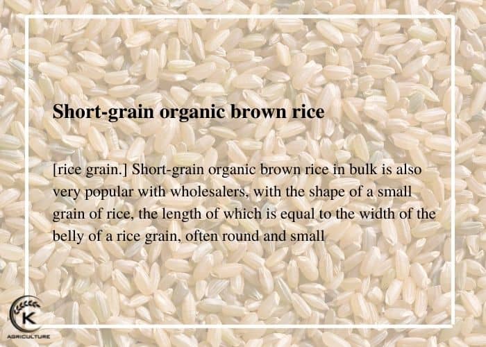 organic-brown-rice-in-bulk-5