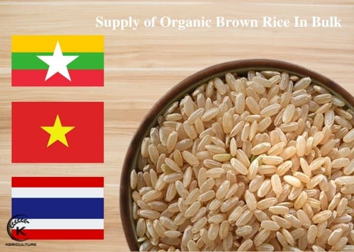 organic-brown-rice-in-bulk-8