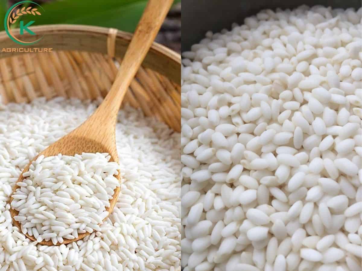 vietnamese-rice-exporters-8