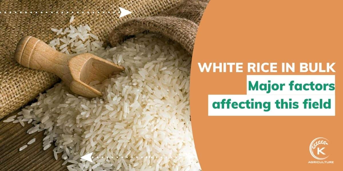 The white rice in bulk trade relies on many elements