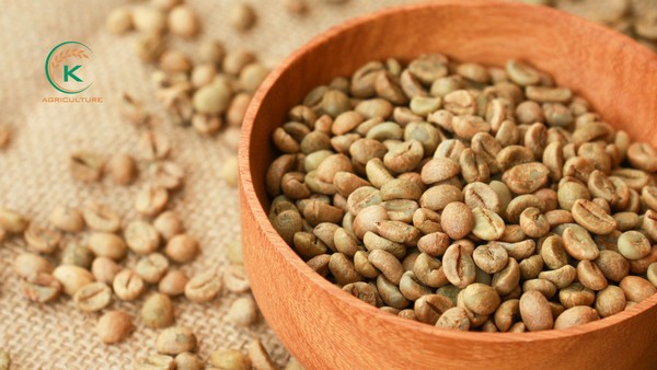wholesale-arabica-coffee-beans-9