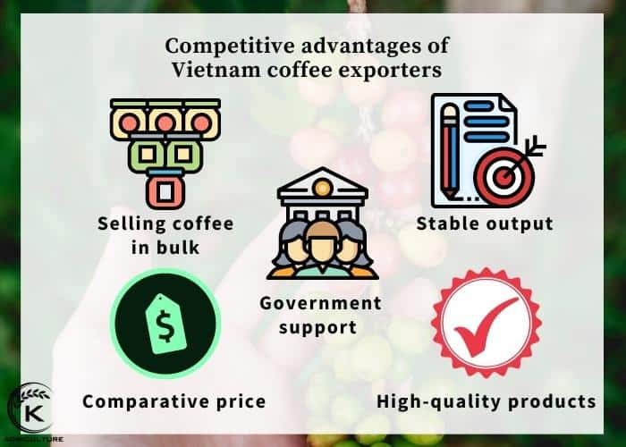 Vietnam-coffee-exporters-8