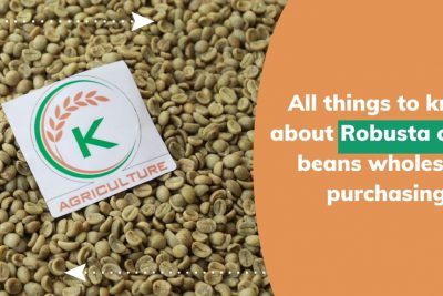Robusta-coffee-beans