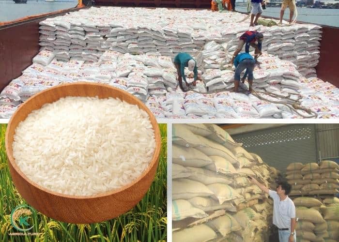 Vietnam-rice-export-to-Philippines-1
