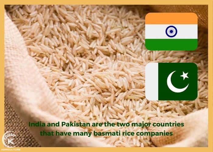 basmati-rice-suppliers-4