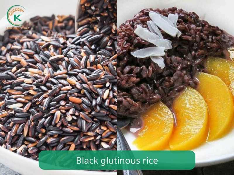Black glutinous rice