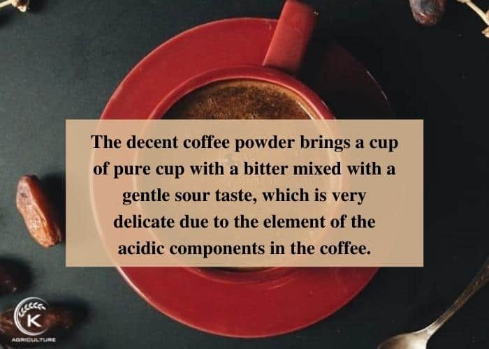 coffee-powder-4