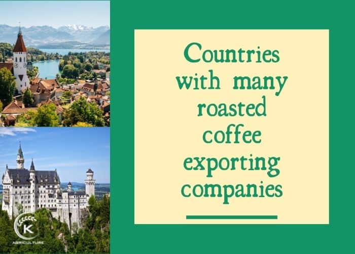 coffee-exporting-companies-8