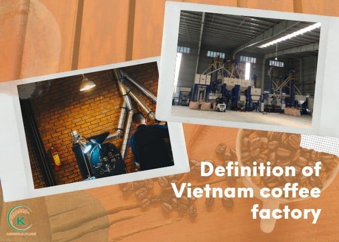 Vietnam-coffee-factory-1.jpg
