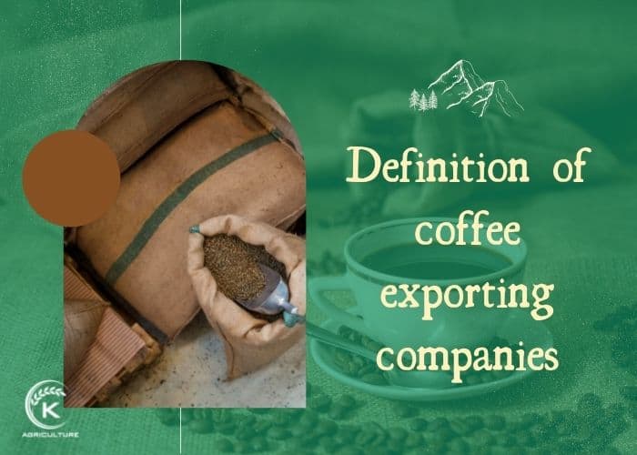 coffee-exporting-companies-1