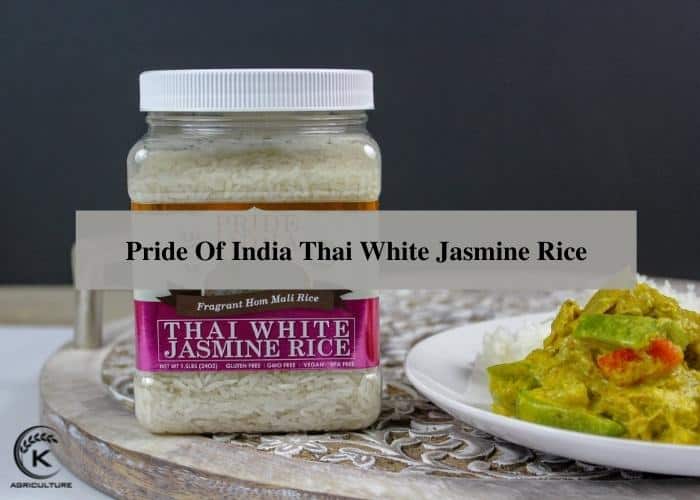 how-to-cook-jasmine-rice-9
