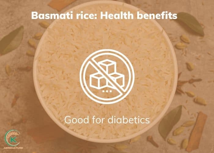 basmati-rice