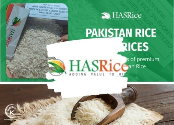 Okam Rice Top 4 Great Basmati Rice Suppliers in India and Pakistan