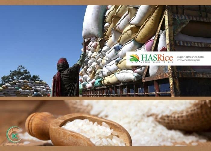 Basmati-rice-exporters-30