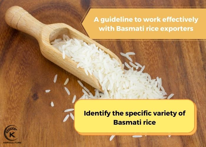 basmati-rice-suppliers-17