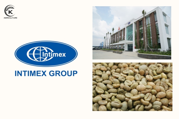 Intimex Group - wholesaler washed vs natural coffee in Vietnam