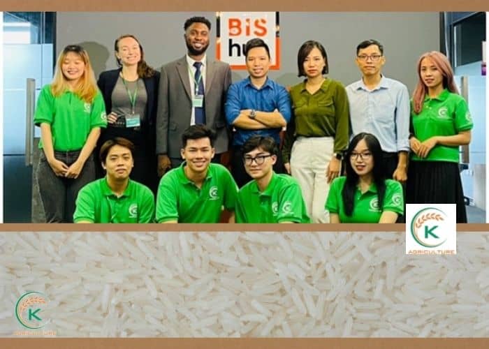 Vietnamese-ST25-rice-10