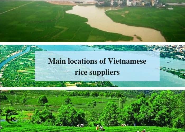 Vietnamese-rice-suppliers-3