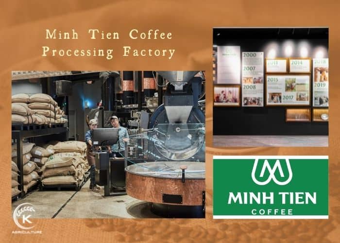 Vietnam-coffee-factory-21.jpg