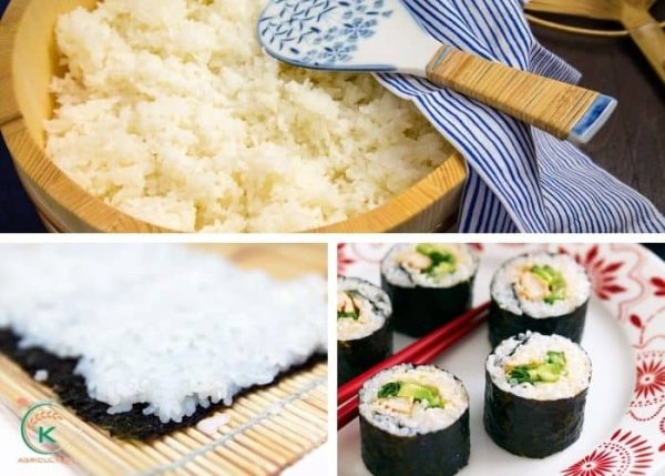 What Is Glutinous Rice? What Makes This Sticky Rice So Special?