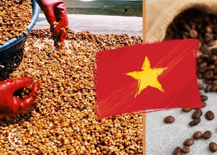 Vietnam-coffee-export-company-9.jpg