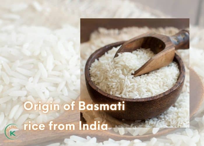 Basmati-rice-from-India-2.jpg