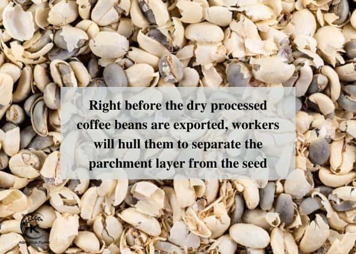 dry-processed-coffee-7