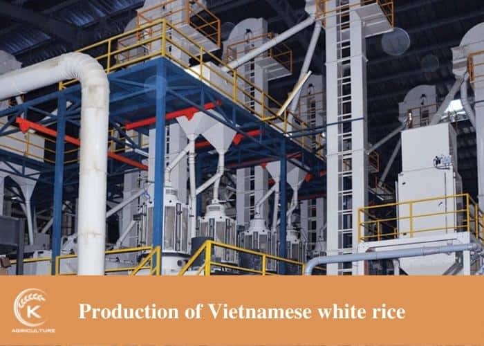vietnamese-white-rice-8.jpg
