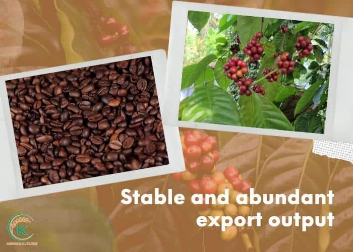Vietnam-coffee-export-company-6.jpg