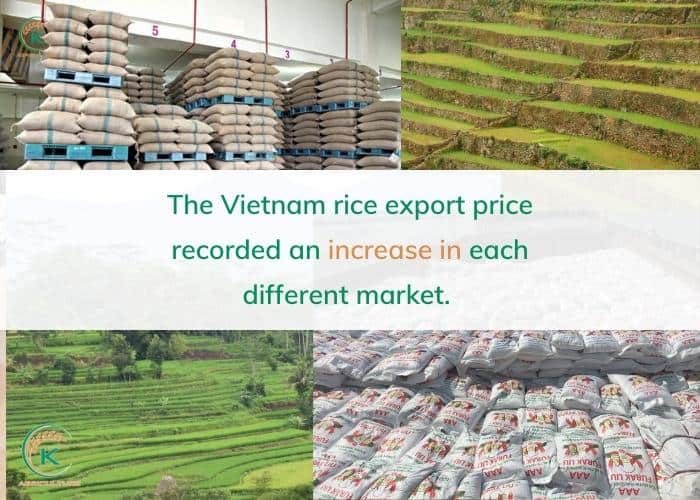 Vietnam-rice-export-price-3.jpg