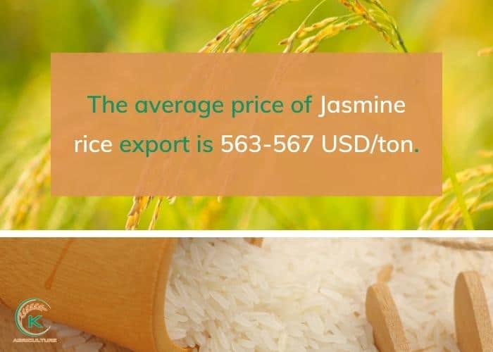 Vietnam-rice-export-to-Philippines-4