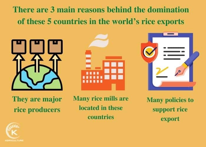 rice-exporting-countries-3