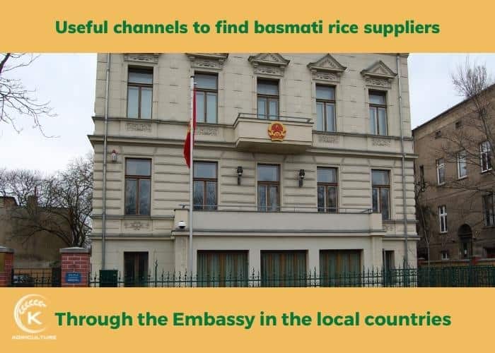 basmati-rice-suppliers-15