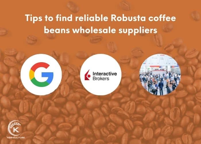 Robusta-coffee-beans-10 