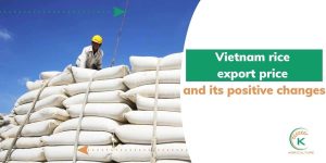 Vietnam-rice-export-price.jpg