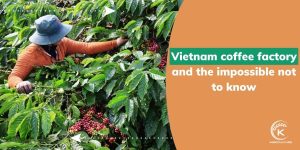 Vietnam-coffee-factory