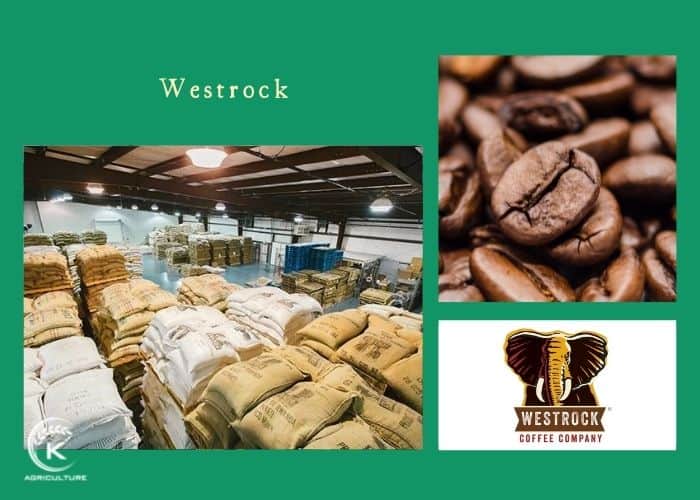 coffee-exporting-companies-17