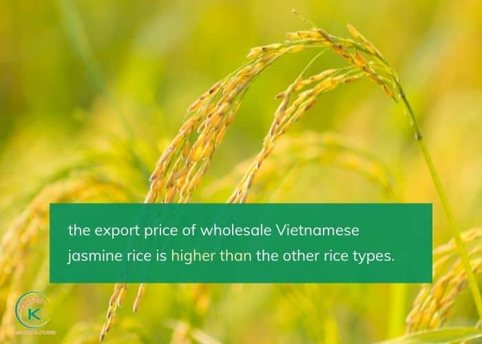 wholesale-vietnamese-jasmine-rice-2.jpg
