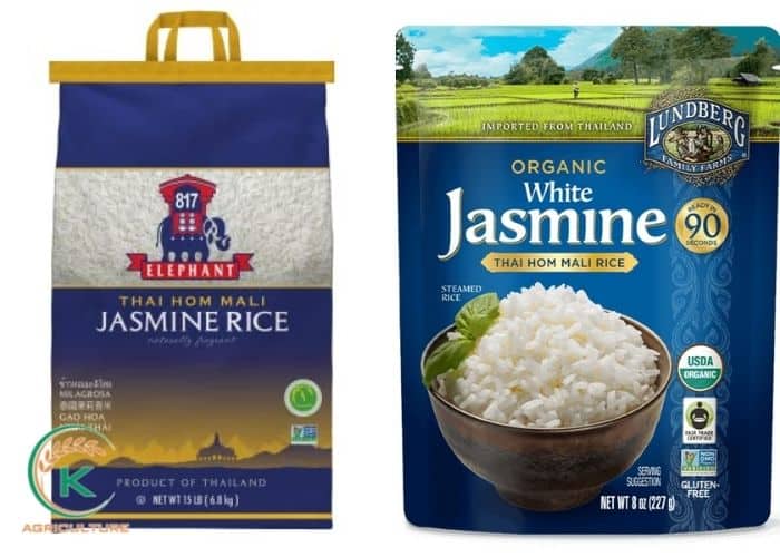 jasmine-rice-thai-15.jpg