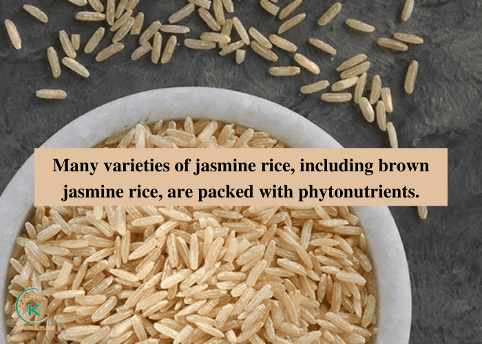 brown-jasmine-rice-4.jpg
