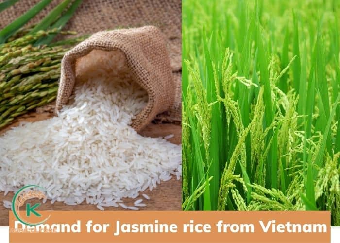 jasmine-rice-from-viet-nam-6.jpg