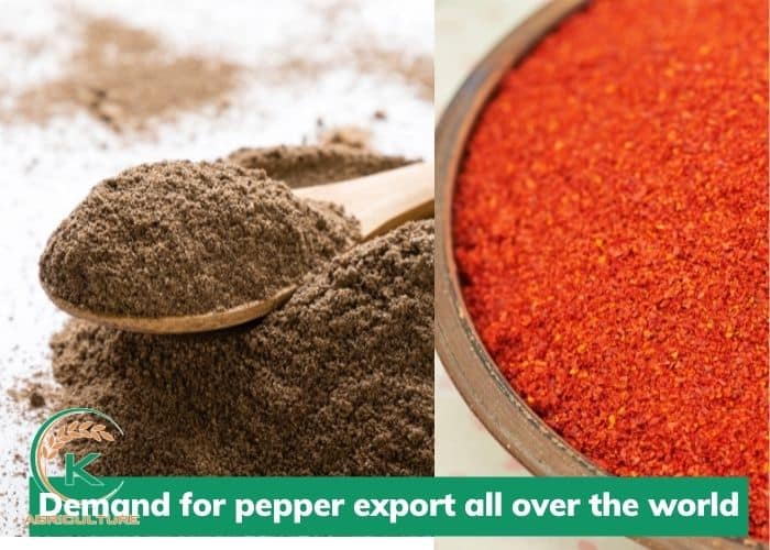 Pepper-export-4.jpg