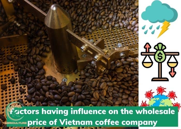 vietnam-coffee-company-7.jpg