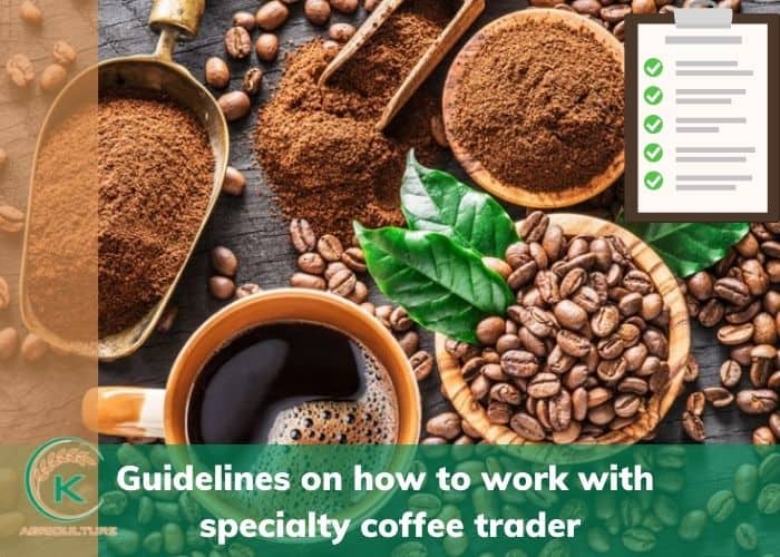 specialty-coffee-trader-6