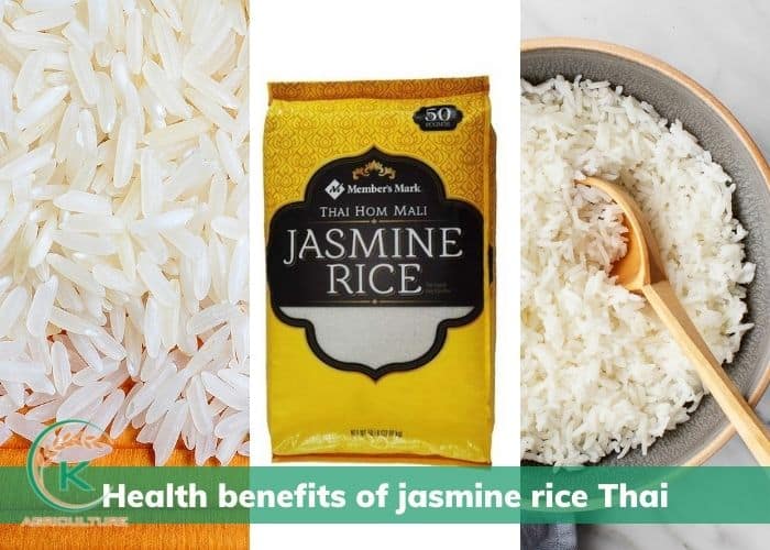 jasmine-rice-thai-8.jpg