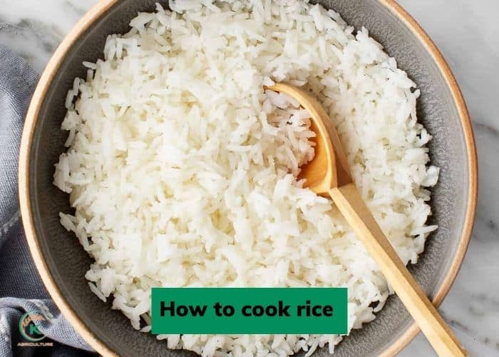 long-grain-rice-vs-white-rice-6.jpg