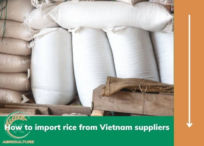 rice-from-vietnam-suppliers-10.jpg